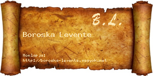 Boroska Levente névjegykártya
